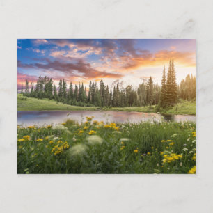 Tipsoo Lake of Mt. Rainier Briefkaart