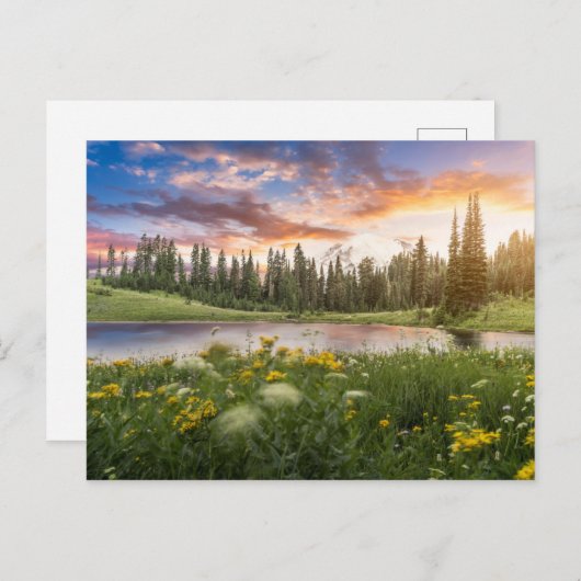 Tipsoo Lake of Mt. Rainier Briefkaart (Voorkant / Achterkant)