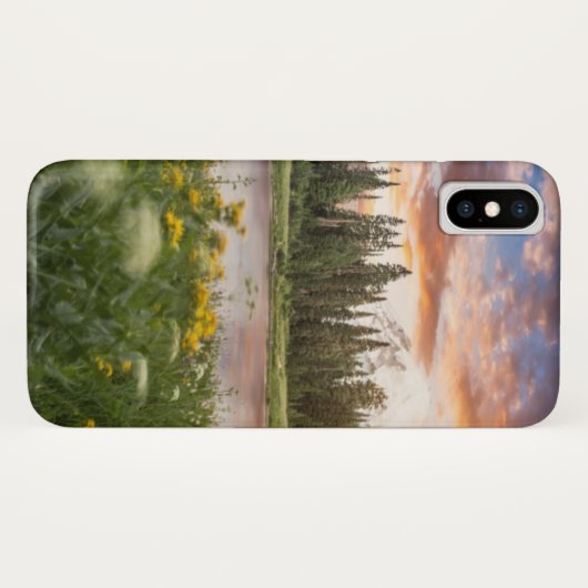 Tipsoo Lake of Mt. Rainier Case-Mate iPhone Case (Achterkant (horizontaal))