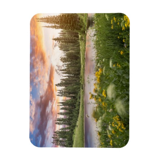 Tipsoo Lake of Mt. Rainier Magneet (Verticaal)