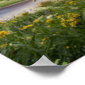 Tipsoo Lake of Mt. Rainier Poster (Hoek)