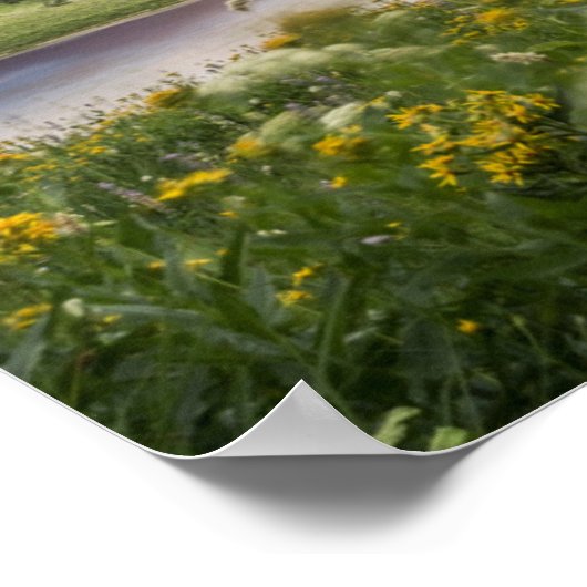 Tipsoo Lake of Mt. Rainier Poster (Hoek)