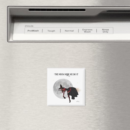 Tipsy heks op vliegende bril Magnet (Insitu (Vaatwasser))