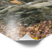 Tire zwaait langs een weg in Zuid-Vermont; Foto Afdruk (Hoek)