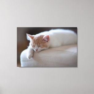 Tired beige en White Kitten Canvas Afdruk
