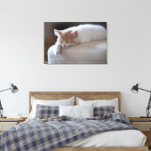 Tired beige en White Kitten Canvas Afdruk (Insitu (Slaapkamer))