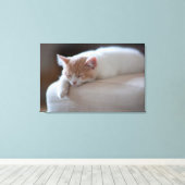 Tired beige en White Kitten Canvas Afdruk (Insitu (Houten vloer))