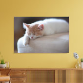 Tired beige en White Kitten Canvas Afdruk (Insitu (Woonkamer))