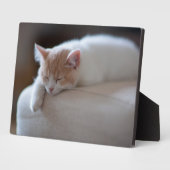 Tired beige en White Kitten Fotoplaat (Zijkant)