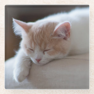Tired beige en White Kitten Glazen Onderzetter