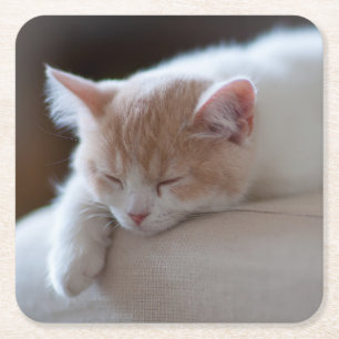 Tired beige en White Kitten Kartonnen Onderzetters