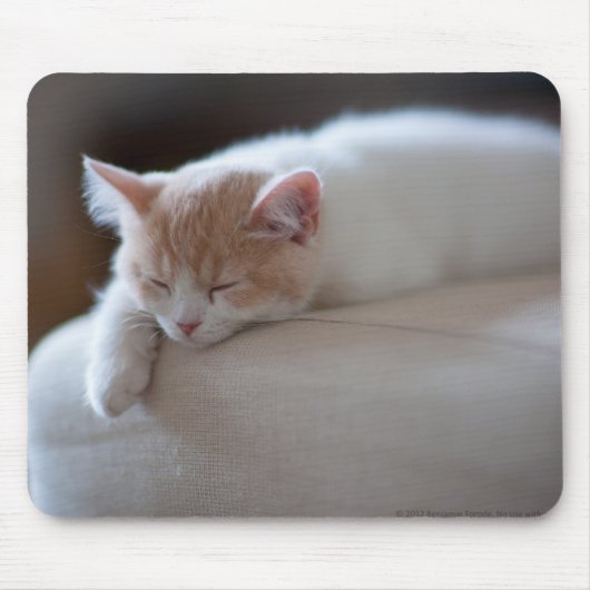 Tired beige en White Kitten Muismat (Voorkant)
