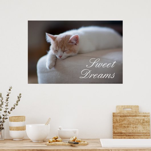 Tired beige en White Kitten Poster (Keuken)