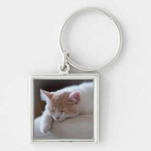 Tired beige en White Kitten Sleutelhanger