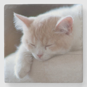 Tired beige en White Kitten Stenen Onderzetter
