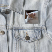 Tired beige en White Kitten Vierkante Button 5,1 Cm (In situ)