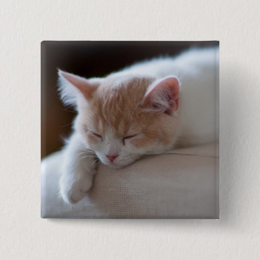 Tired beige en White Kitten Vierkante Button 5,1 Cm (Voorkant)