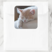 Tired beige en White Kitten Vierkante Sticker (Tas)