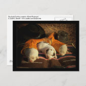 Tired Cowboy Puppies Briefkaart (Voorkant / Achterkant)