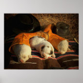 Tired Cowboy Puppies Poster (Voorkant)