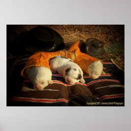 Tired Cowboy Puppies Poster