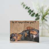 Tired Dachshund Briefkaart (Staand voorkant)