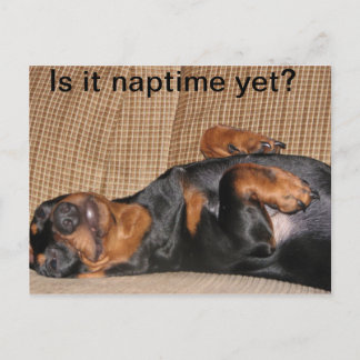 Tired Dachshund Briefkaart