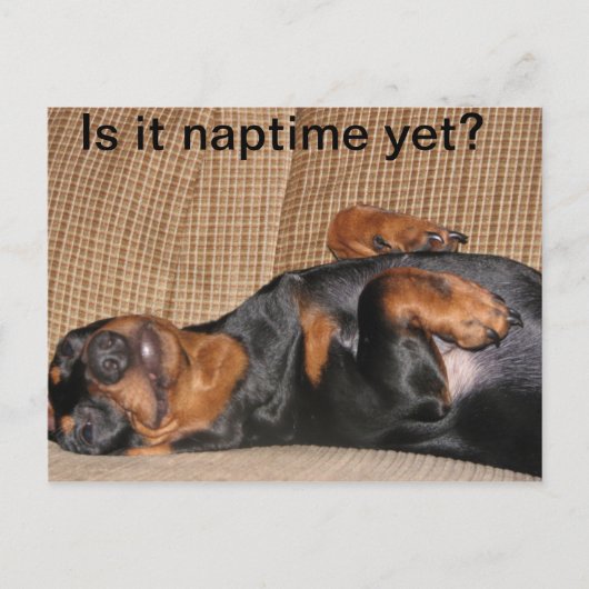 Tired Dachshund Briefkaart (Voorkant)