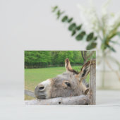 Tired donkey briefkaart (Staand voorkant)