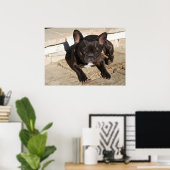 Tired French Bulldog Poster (Thuiskantoor)