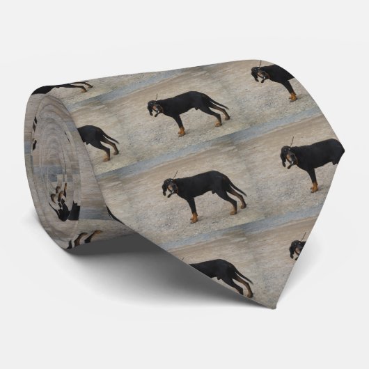 Tired Hunting Dog Stropdas (Opgerold)