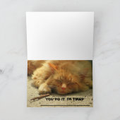 Tired Kat wil dat je zijn kaart afwerkt (Binnen)