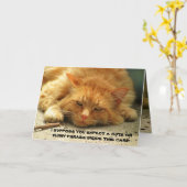 Tired Kat wil dat je zijn kaart afwerkt (Gele Bloem)