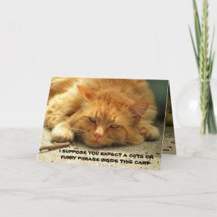 Tired Kat wil dat je zijn kaart afwerkt