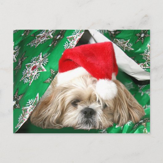Tired Kerstmis Shih Tzu Feestdagenkaart (Voorkant)