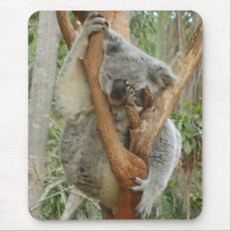 Tired Koala Muismat