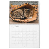  Tired Tabbies Calendar Kalender (Mar 2027)