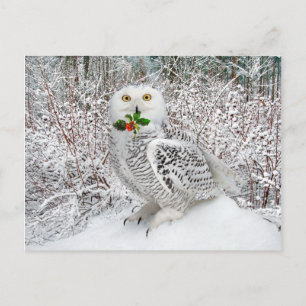 "T'is het seizoen" Briefkaart