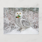 "T'is het seizoen" Briefkaart (Voorkant)