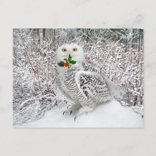 "T'is het seizoen" Briefkaart (Voorkant)