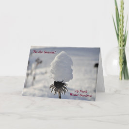 'Tis het Seizoen. Op de Tuinen van de Winter van Kaart