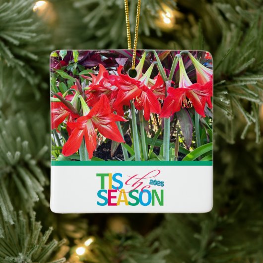 Tis the Season 'Amaryllis' Ornament (Boom)