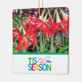 Tis the Season 'Amaryllis' Ornament (Links)