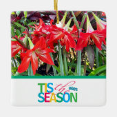 Tis the Season 'Amaryllis' Ornament (Voorkant)