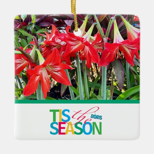 Tis the Season 'Amaryllis' Ornament (Voorkant)