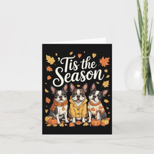 Tis The Season Boston Terrier Fall Autumn Pumpkin  Kaart (Voorkant)