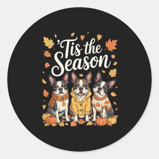 Tis The Season Boston Terrier Fall Autumn Pumpkin  Ronde Sticker (Voorkant)