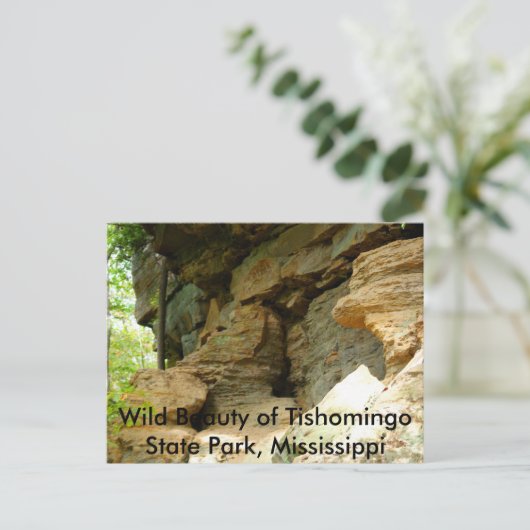 Tishomingo Rock Formation II Briefkaart (Staand voorkant)