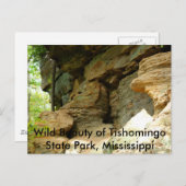 Tishomingo Rock Formation II Briefkaart (Voorkant / Achterkant)