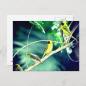 Tisserine gendarme briefkaart (Voorkant / Achterkant)